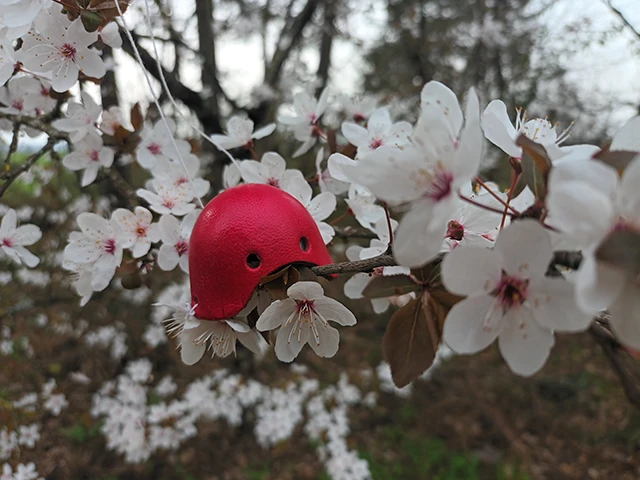 Art-thérapie et clown-thérapie à Boisseuilh